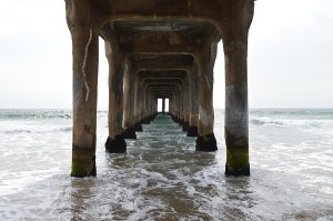 photo by Wolfgang Stearns