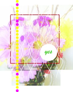 illustration/photo by Sylvia