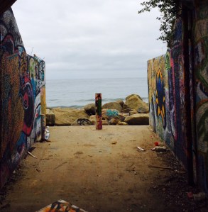 photo by Guinevere Stearns