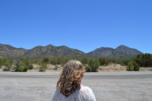 photo by Wolfgang Stearns