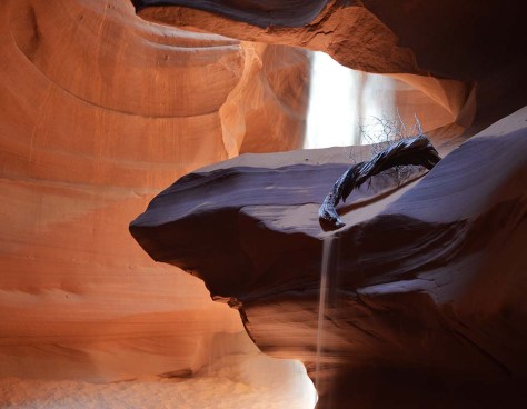 photo by Wolfgang Stearns