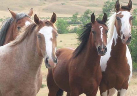 photo by Philip Stearns