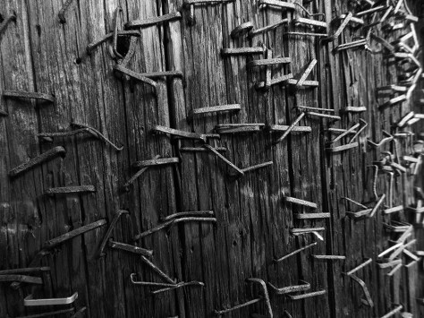 photo by Wolfgang Stearns