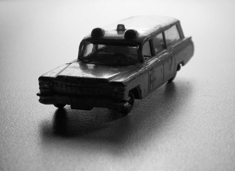 photo by Wolfgang Stearns