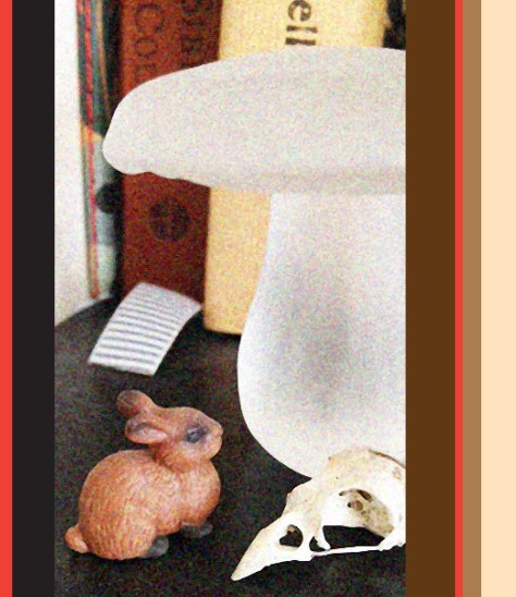 photo and design by Sylvia