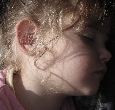 photo by Philip Stearns