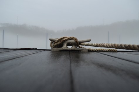 photo by Wolfgang Stearns