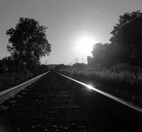 photo by Wolfgang Stearns