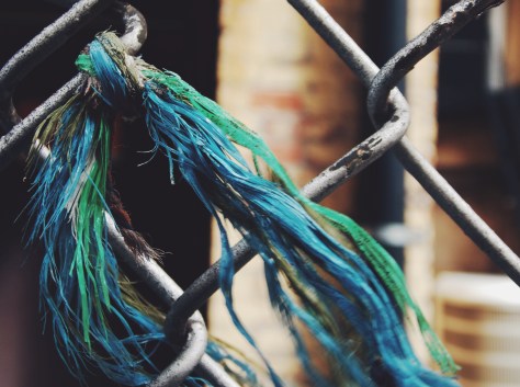 photo by Wolfgang Stearns