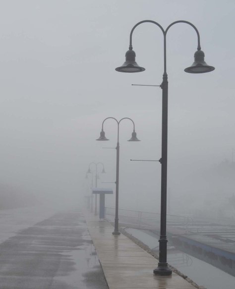 photo by Wolfgang Stearns