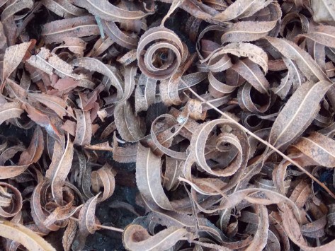 photo by Wolfgang Stearns