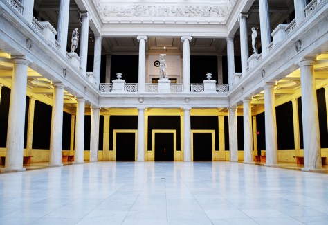 Carnegie Natural History Museum photo by Wolfgang Stearns