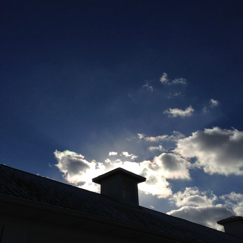 photo by Wolfgang Stearns