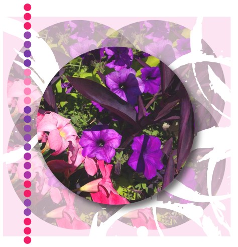 photo and design by Sylvia