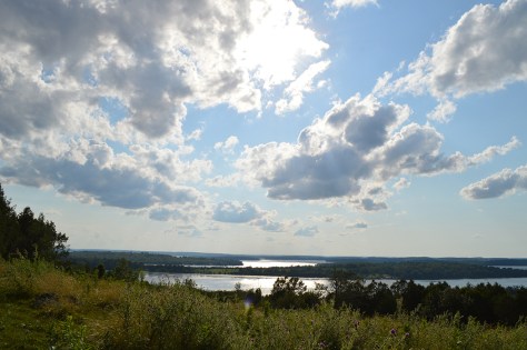 photo by Wolfgang Stearns