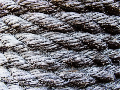 photo by Wolfgang Stearns