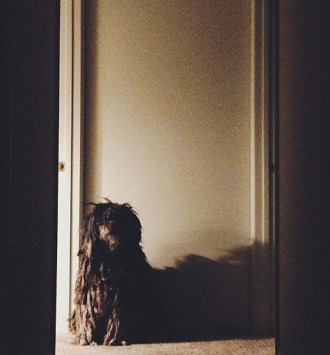 photo by Wolfgang Stearns