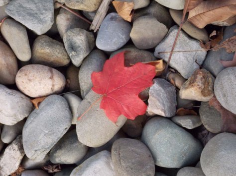 photo by Wolfgang Stearns