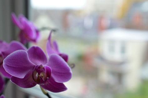 photo by Wolfgang Stearns