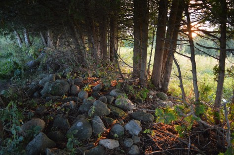 photo by Wolfgang Stearns