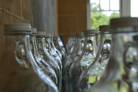 photo by Wolfgang Stearns