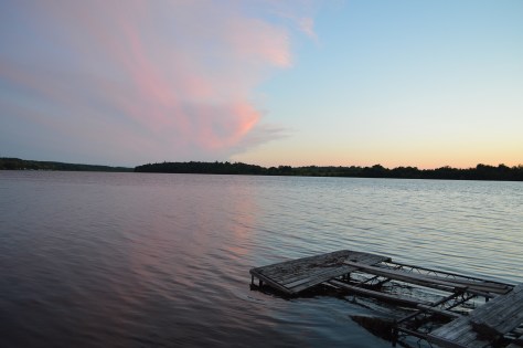 photo by Wolfgang Stearns