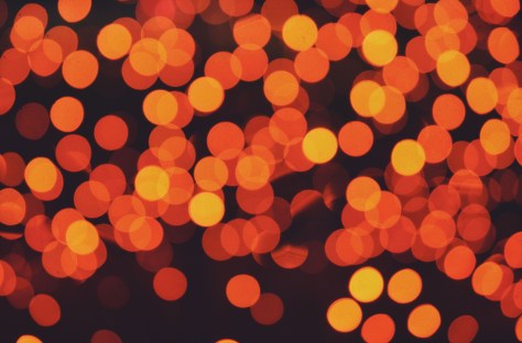 photo by Wolfgang Stearns