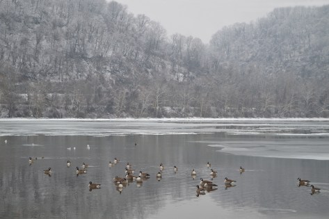 photo by Wolfgang Stearns