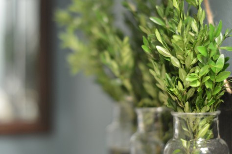 photo by Wolfgang Stearns