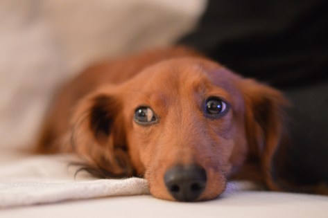 photo by Wolfgang Stearns