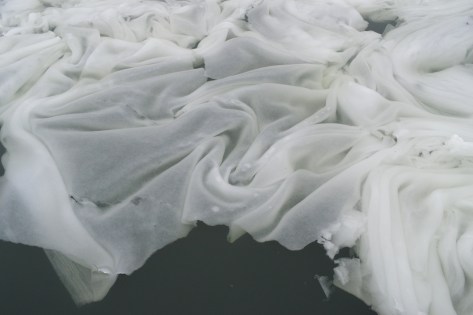 photo by Wolfgang Stearns