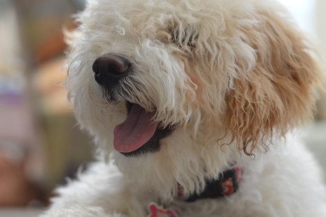 photo by Wolfgang Stearns