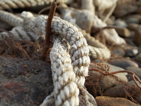 photo by Wolfgang Stearns