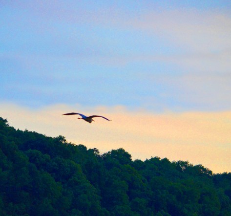 photo by Wolfgang Stearns