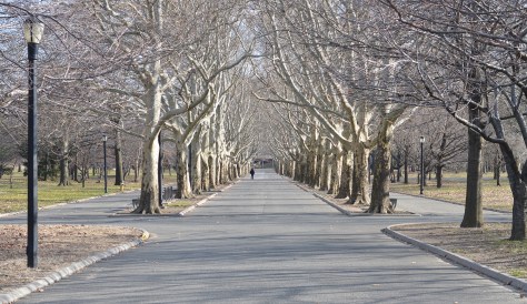 photo by Wolfgang Stearns