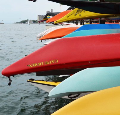 photo by Wolfgang Stearns