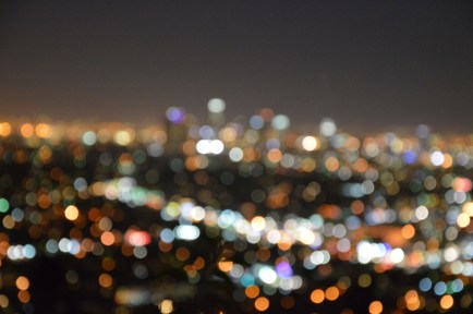 photo by Wolfgang Stearns