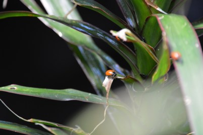 photo by Wolfgang Stearns