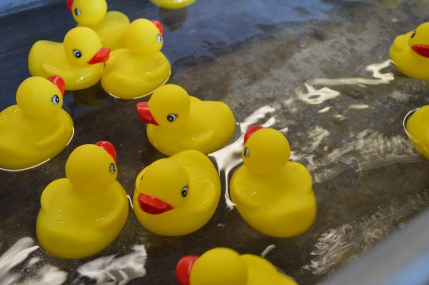 photo by Wolfgang Stearns