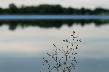 photo by Wolfgang Stearns