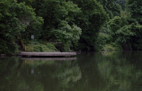 photo by Wolfgang Stearns