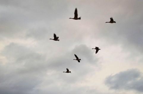 photo by Wolfgang Stearns