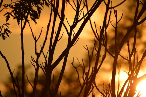 photo by Wolfgang Stearns