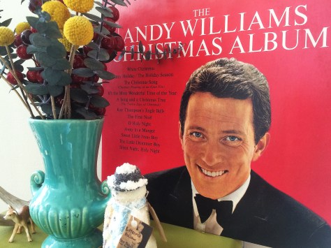andy williams
