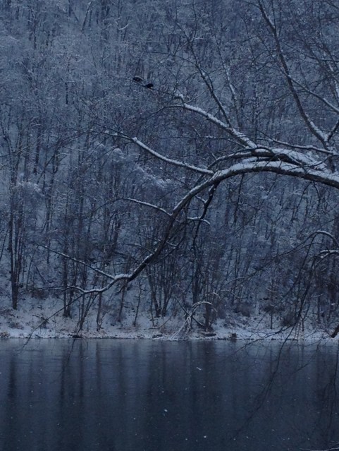 blue light of winter