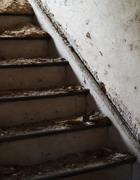 steps in decay