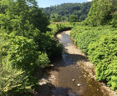 another perspective of marsh