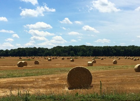 rolls of hay in ohio