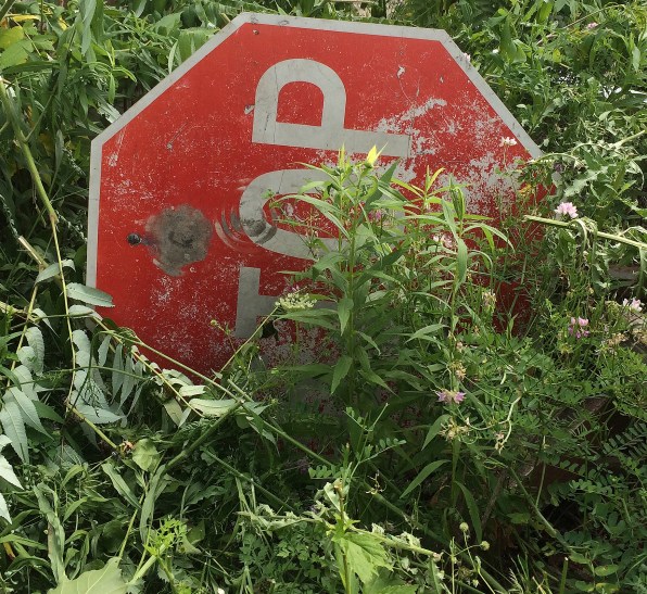 stop sign in weeds