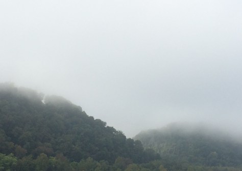 fog-on-the-green-hills
